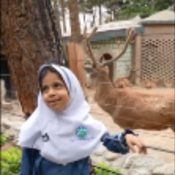 اردوی باغ وحش