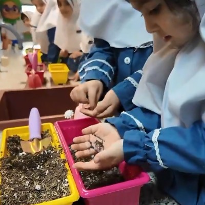 نویسنده: سیدیاسر بوتیمار