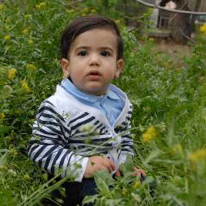 علی جوادی